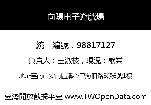 向陽電子遊戲場