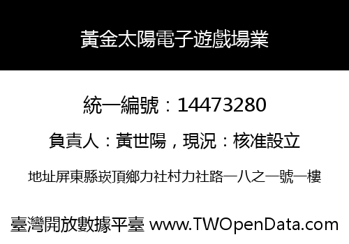 黃金太陽電子遊戲場業