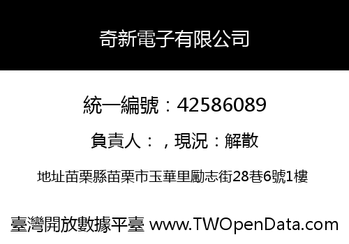 奇新電子有限公司