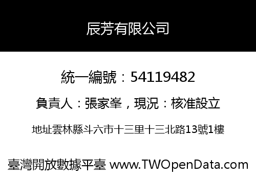 辰芳有限公司