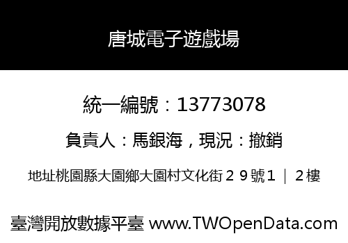 唐城電子遊戲場