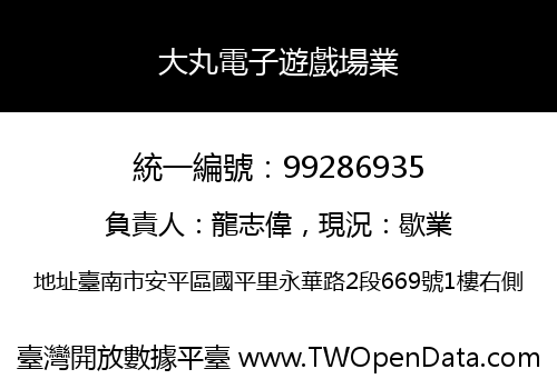 大丸電子遊戲場業