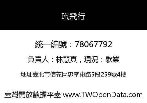 玳飛行
