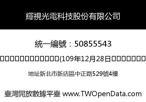 輝視光電科技股份有限公司