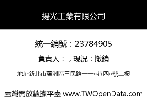 揚光工業有限公司