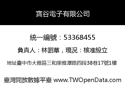 寶谷電子有限公司