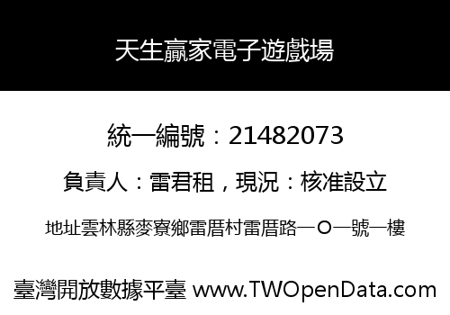 天生贏家電子遊戲場