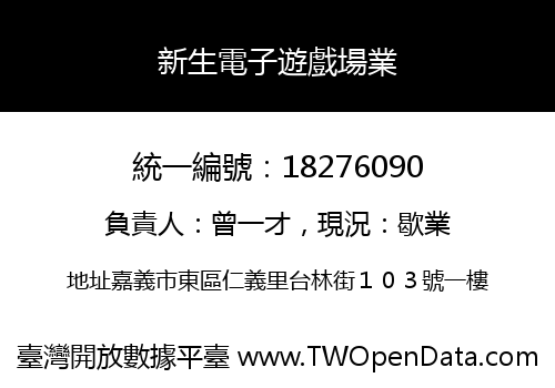 新生電子遊戲場業