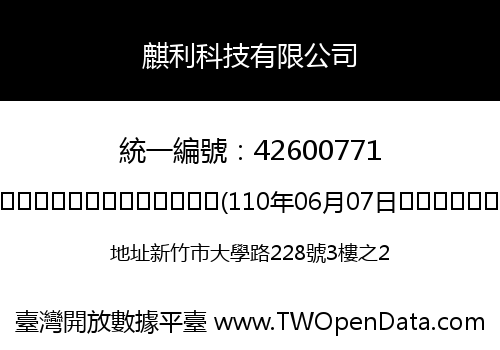 麒利科技有限公司