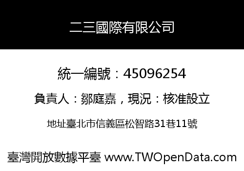二三國際有限公司