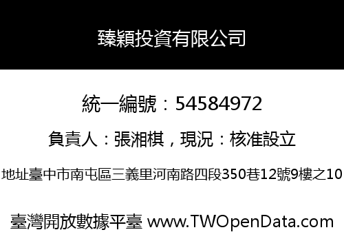 臻穎投資有限公司