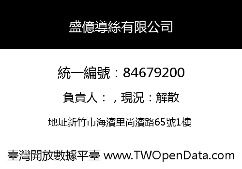 盛億導絲有限公司