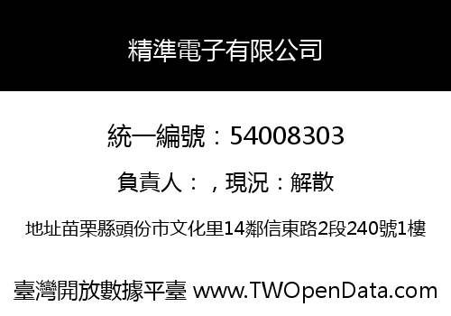 精準電子有限公司