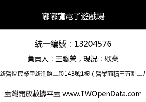 嘟嘟龍電子遊戲場