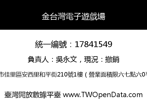 金台灣電子遊戲場