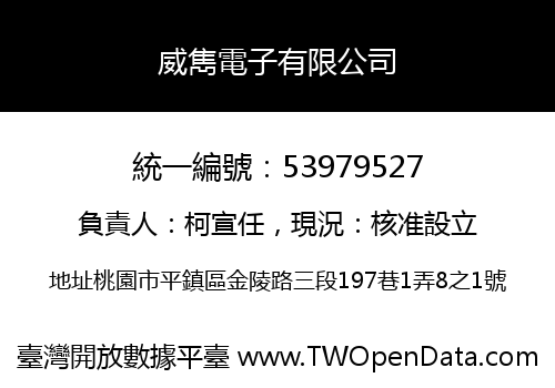 威雋電子有限公司