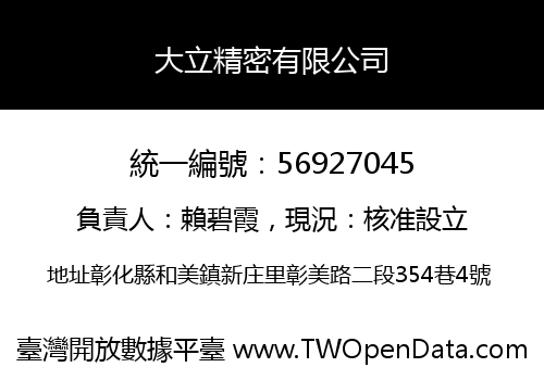 大立精密有限公司