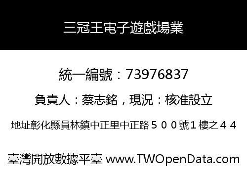 三冠王電子遊戲場業