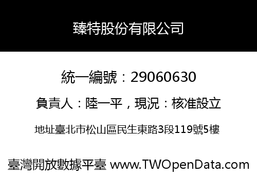 臻特股份有限公司