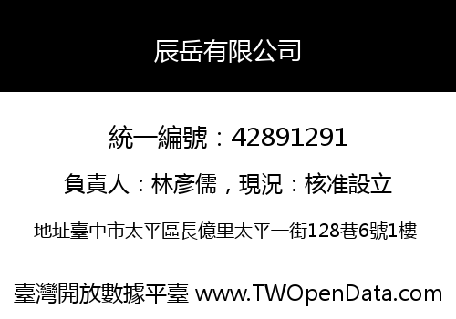 辰岳有限公司