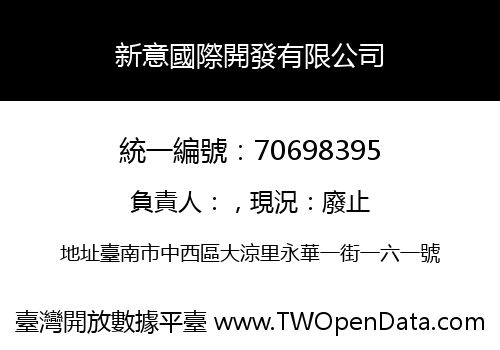 新意國際開發有限公司