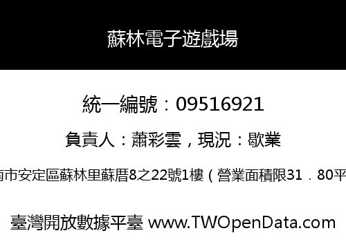 蘇林電子遊戲場
