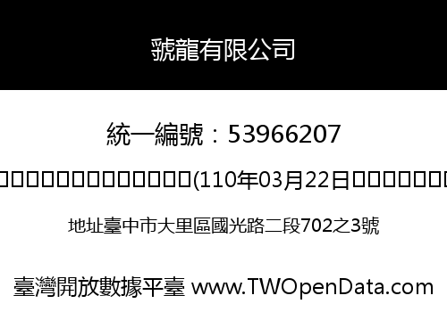 虢龍有限公司