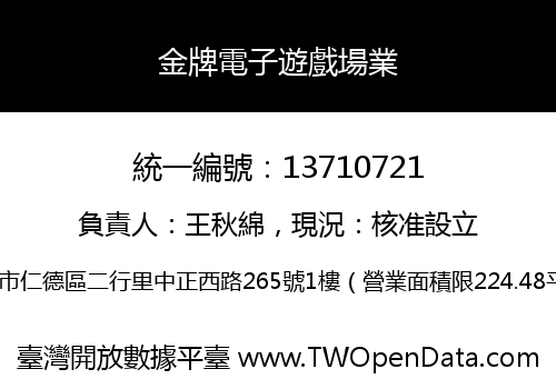 金牌電子遊戲場業