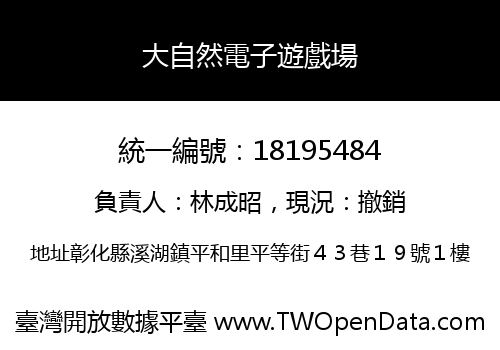 大自然電子遊戲場