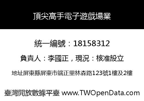頂尖高手電子遊戲場業