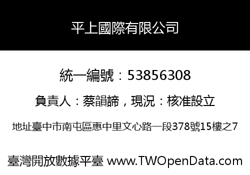 平上國際有限公司