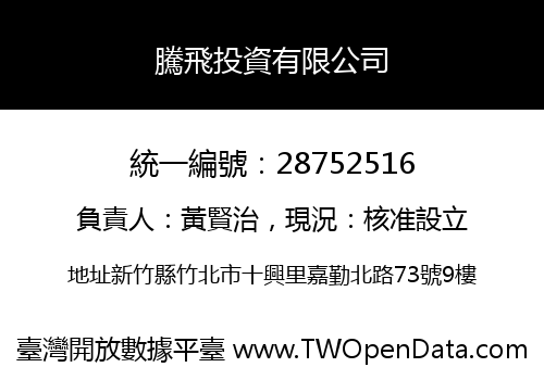 騰飛投資有限公司
