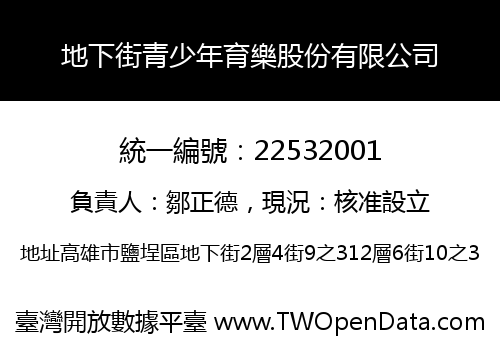地下街青少年育樂股份有限公司