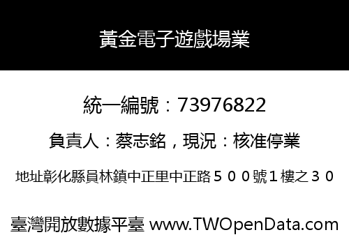黃金電子遊戲場業