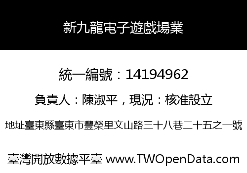 新九龍電子遊戲場業