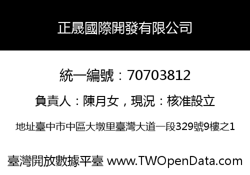 正晟國際開發有限公司