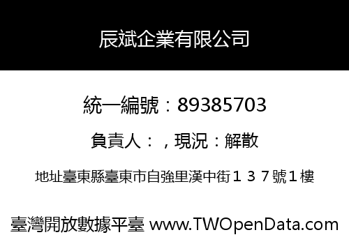 辰斌企業有限公司