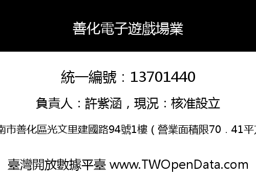 善化電子遊戲場業
