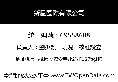 新凰國際有限公司