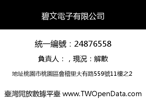 碧文電子有限公司