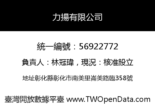 力揚有限公司