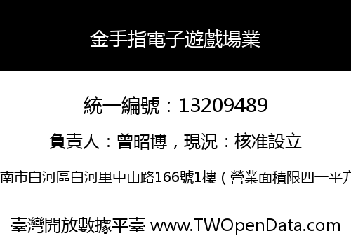 金手指電子遊戲場業