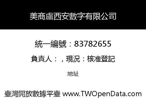 美商盧西安數字有限公司