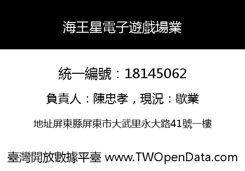 海王星電子遊戲場業