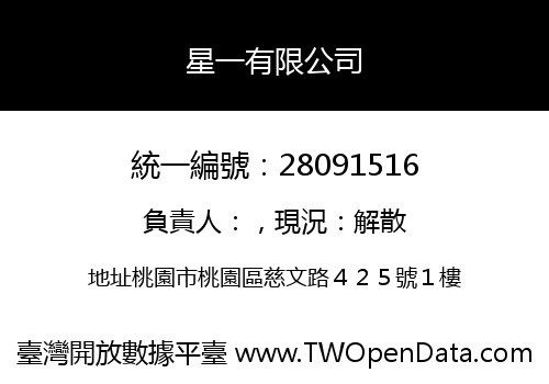 星一有限公司