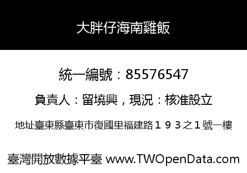 大胖仔海南雞飯