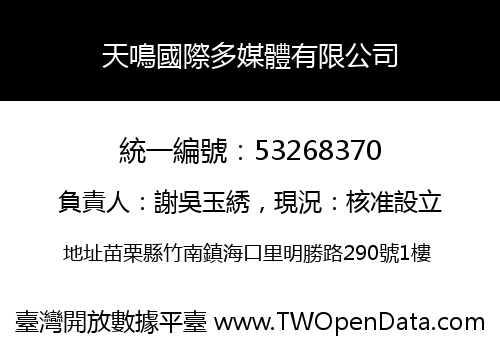 天鳴國際多媒體有限公司
