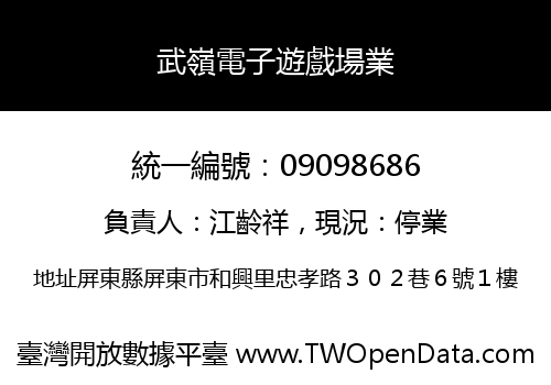 武嶺電子遊戲場業