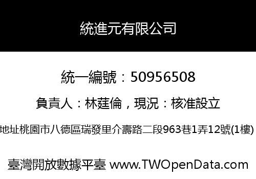統進元有限公司