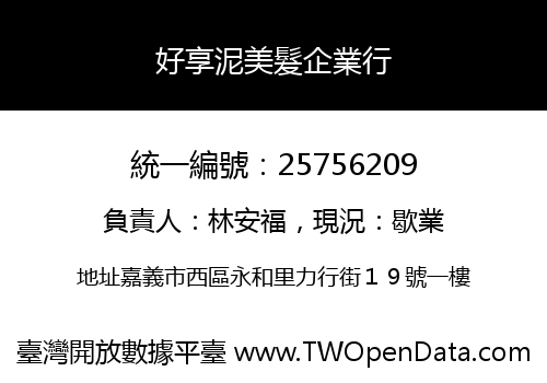 好享泥美髮企業行